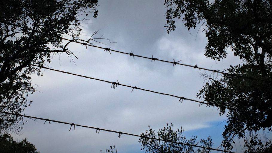 ¿Tiene cura el Trastorno disocial?