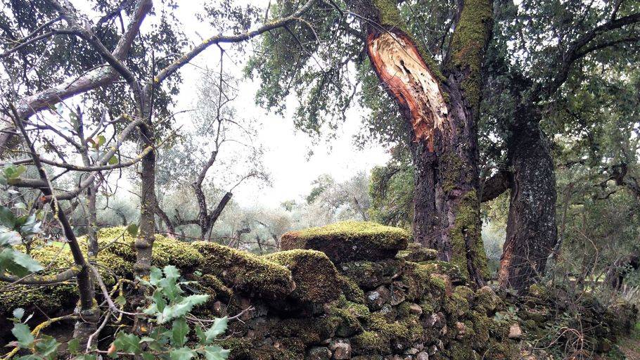 La soledad de sentirse incomprendido