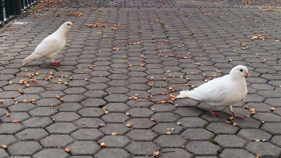 Por qué me aburre mi novio