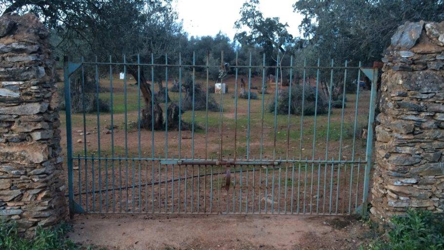 ¿Qué pasa cuando no encuentro salida?