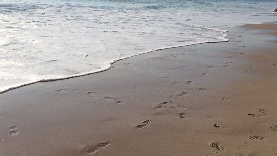 Cómo superar las decepciones familiares